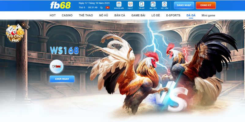 Đá gà là game đem lại những trận đấu đầy kịch tính và lôi cuốn